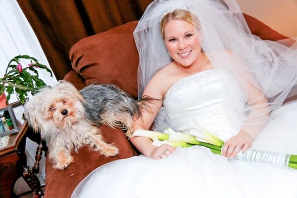Bride with her dog on her wedding day